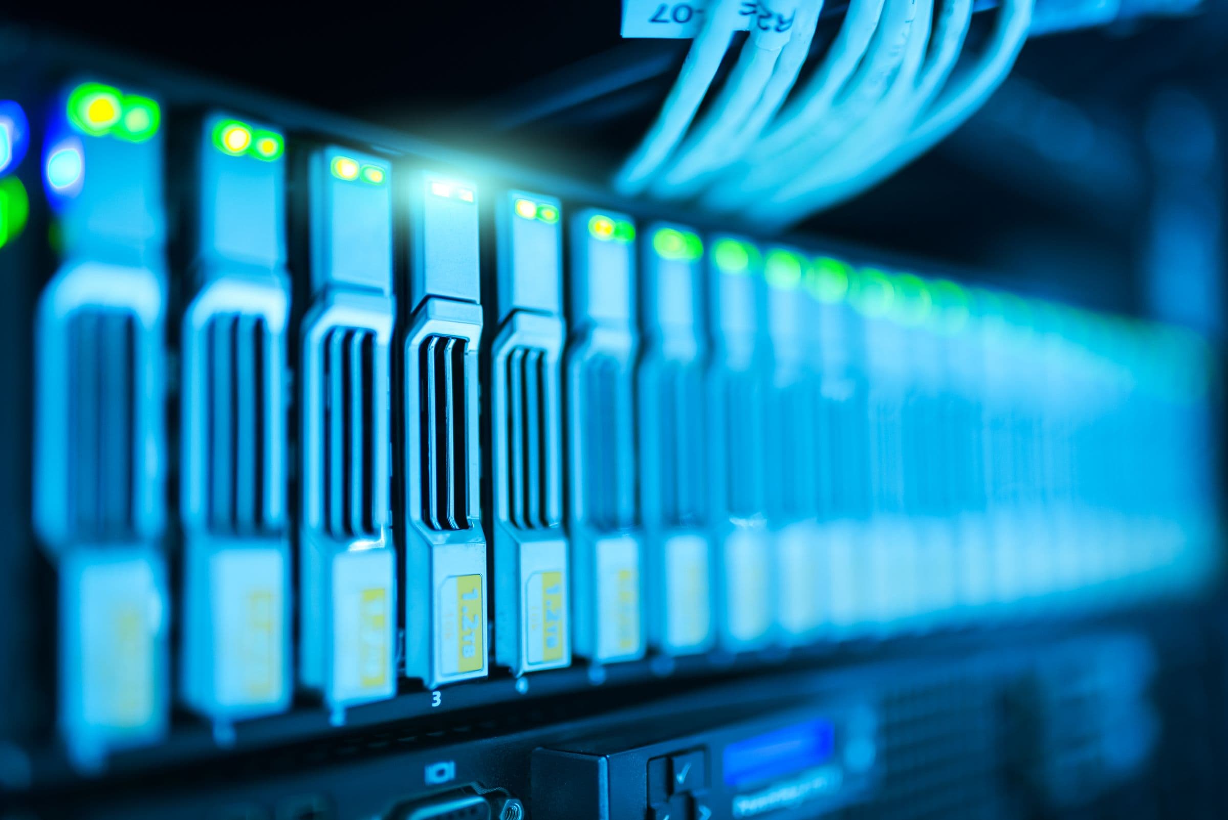 A rack of network ports lit blue, status LEDs glowing along the row and patch leads curving in from above, the far end falling out of focus.